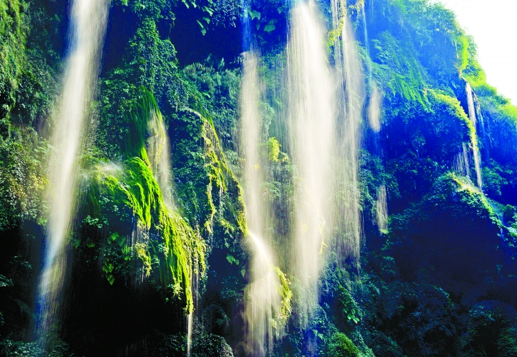 Preview Image 1