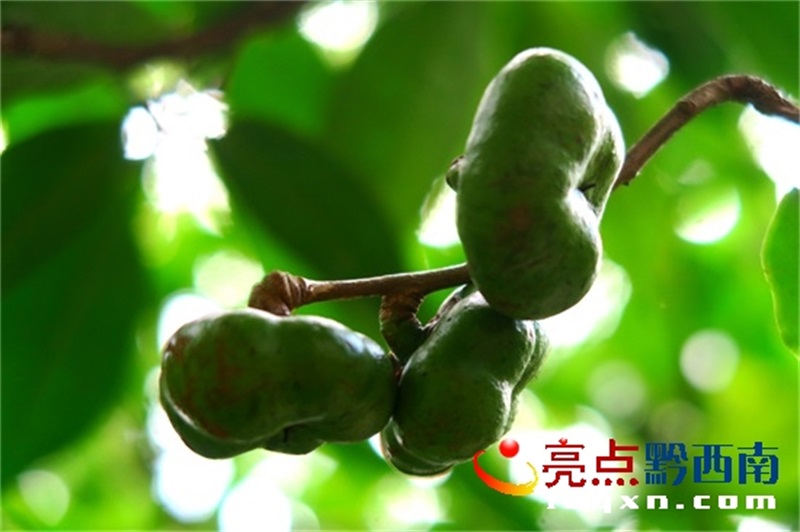 Preview Image 1