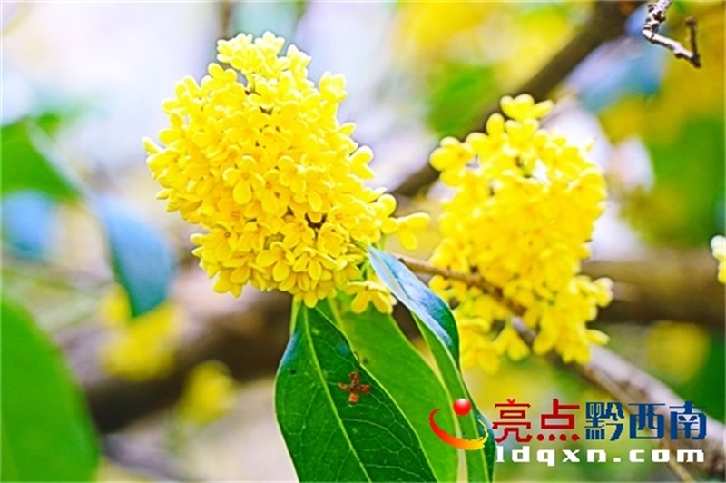 �d�x��������·��A
