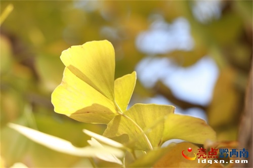�d�x�f���֣��y�ӽk�����ːۣ�