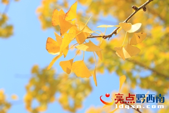 ������߅���d�x�y�ӣ��ٲ��^�p��Ҫ�ȵ�����