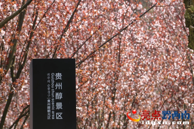 Preview Image 1