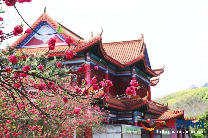 Preview Image 1