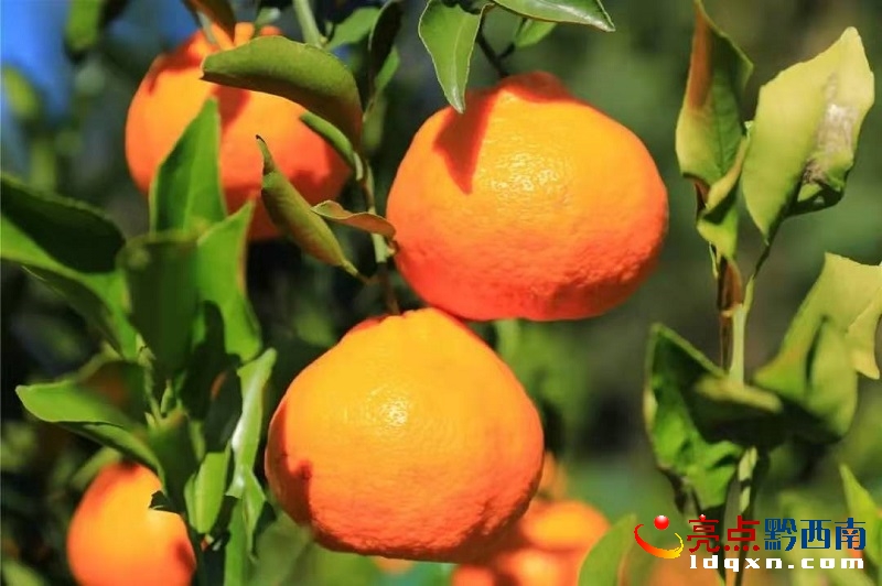 �d�x�О�ɳ悲�����ٮ����r�̳�������