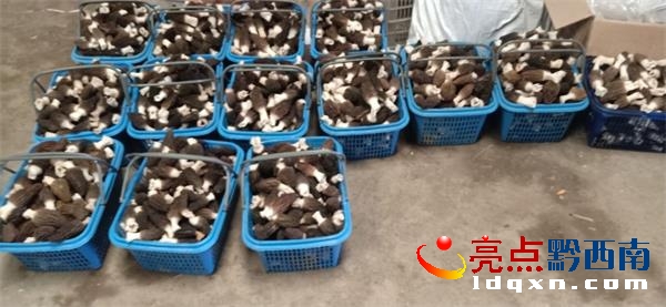 �d�x��̫����������Ǿ��ڴ���(ji��)���g�����r������