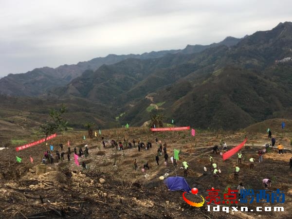 ��փ�h�e�O�M���_չ2021���x��ֲ����
