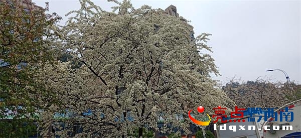 �d�x���˹�����ɫ�ѻ������m�`��