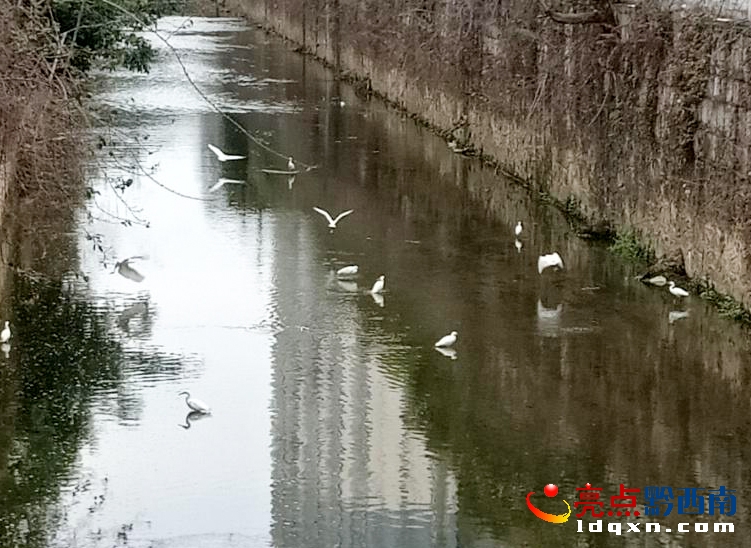 �d�x���Ҹ����Ⱥ����չ�L(f��ng)��