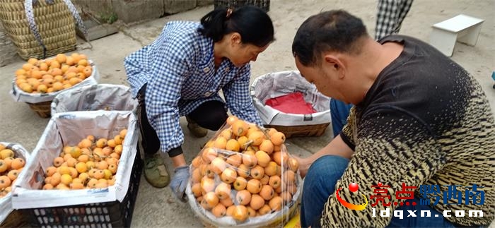 �d�x�О�ɳ悲��������������S�տ��̼�������