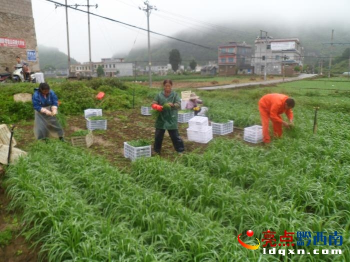 �x���^���P�塰ӆ�Ρ��Nֲ280�����Rϲ�@�S��