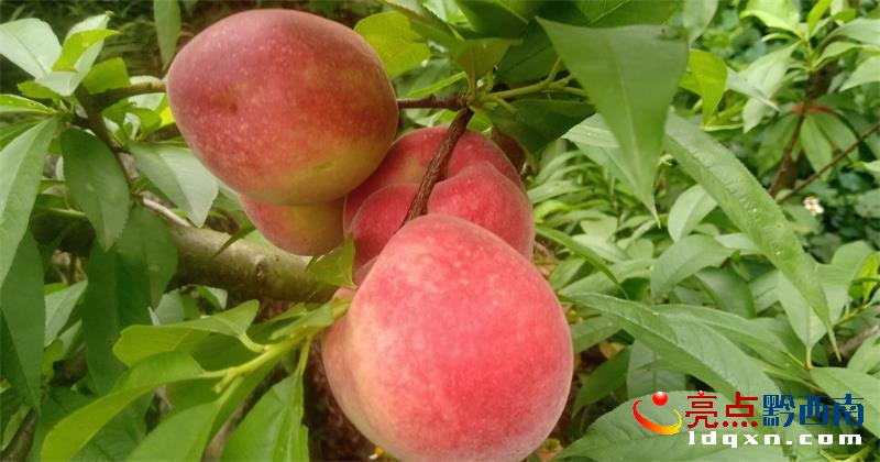 �d�x���f���֮Y����ٮ����ғ��r����
