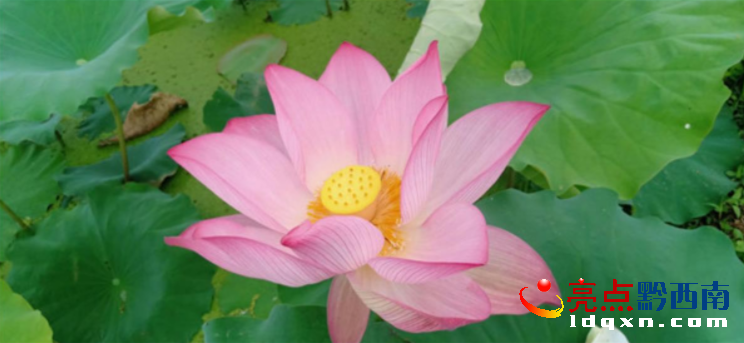 �d�x��ɳ���ܻ��صĺɻ��_�� �ɻ������������~������