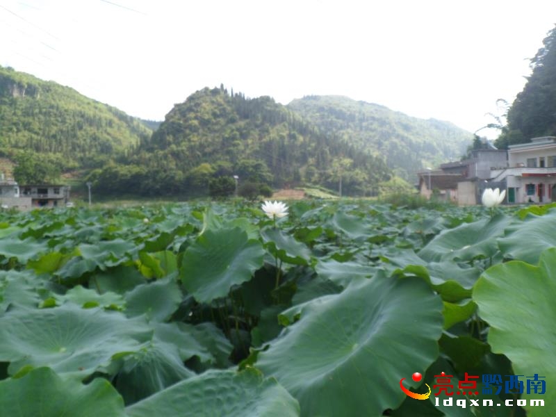 �x���^(q��)��ˮ�Ӵ�210���ɻ��L(zh��ng)��(sh��)����