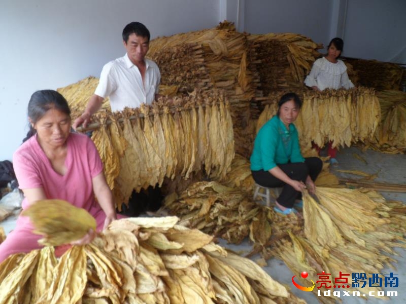 ǭ�����ݺ濾24.7�f�����S���~�� �AӋ���r����9�|Ԫ