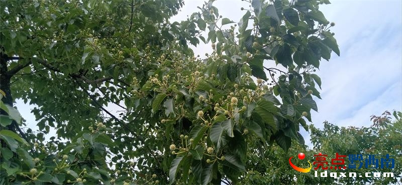 �d�x�����׹�·���Ե��е����_(k��i)����