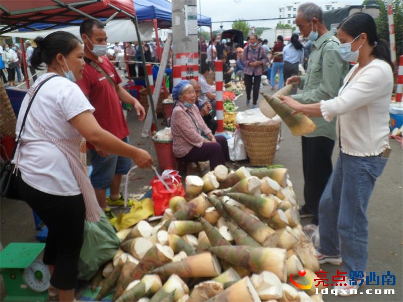 �x���^�����P�1100���r��S�����N��