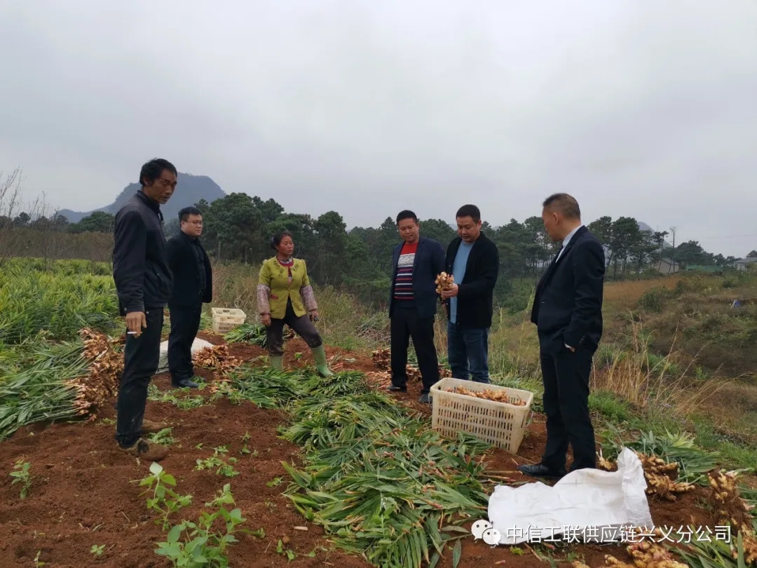 ���Ź�(li��n)����(y��ng)��d�x�ֹ�˾�����r(n��ng)���r(n��ng)���m�h���_