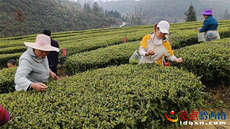 �d�x���N�莟�����솢�Ĵ����ժ����