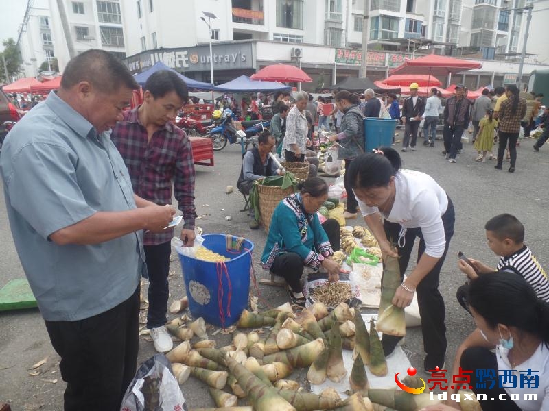 �x���^(q��)���P�(zh��n)1100����S�����r�������N��