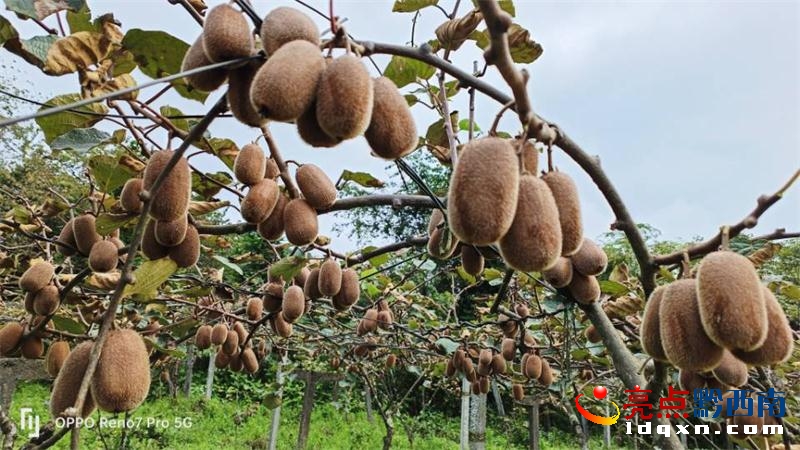 �d�x�������(zh��n)300�஀�J���Ҽ�����ժ����