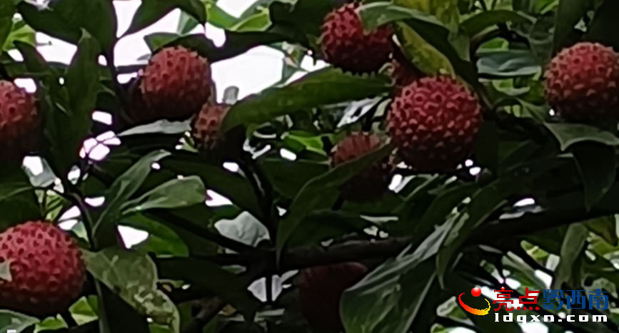 �d�x�О�ɳ�(zh��n)�������u��ӳ������(sh��)��M֦�^