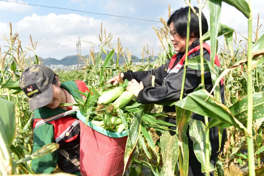 ���V悼{�Ҵ壺�����Ե�ţ��������������