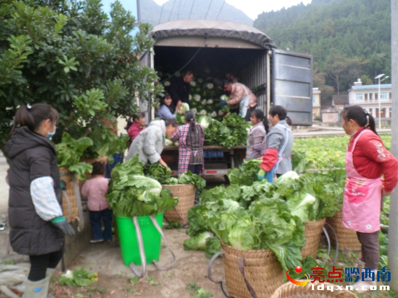 �d�x��19�f���߲ˡ����r�������N��