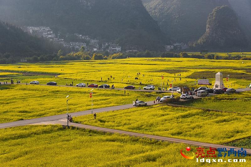 �L���箋���f�����Ͳ˻��`��ӭ������^�p��