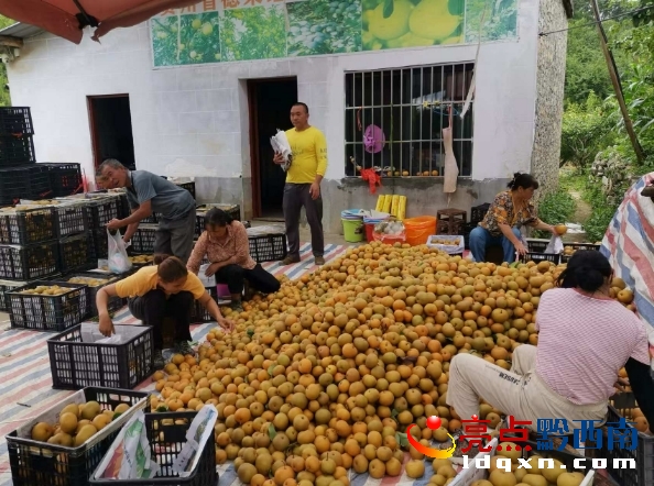 �x���^�f��悺��S�壺 �A�S������ ���r������