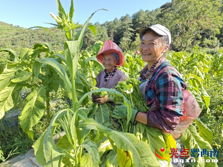 �d�x������患������ա����~�� Ⱥ�����_�