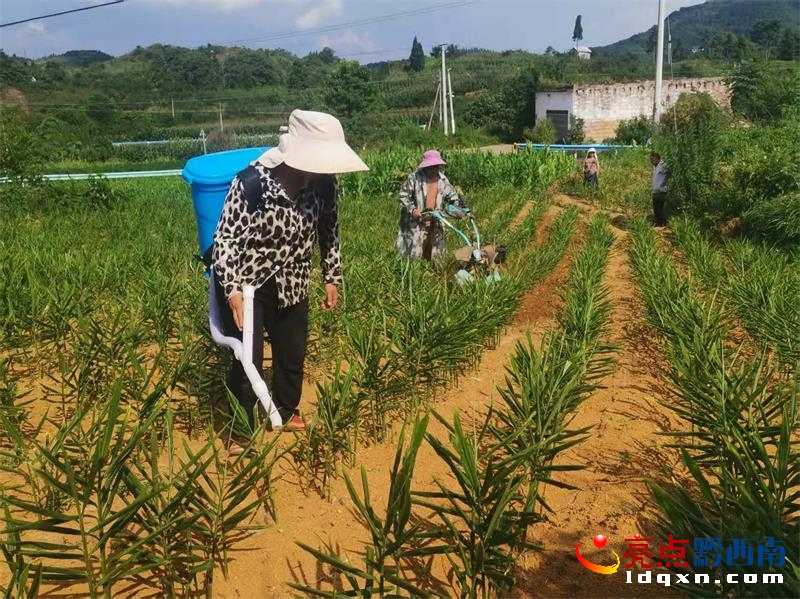 �����h���P悡�����+���¡����ܷ���ˮ����ȫ�W��