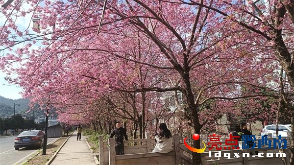 �d�x�О�ɳ悸G���^���ѻ��`�� �^�p�����r