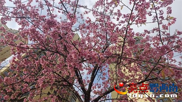 �d�x�˹������ѻ�ӭ���`��