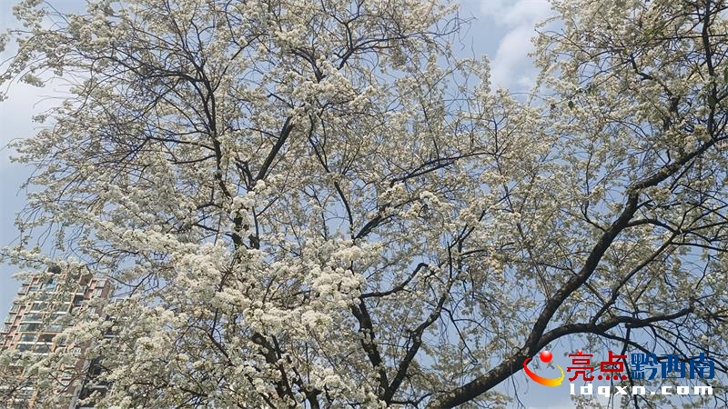 �d�x���˹�����ɫ�ѻ�ӭ���`��