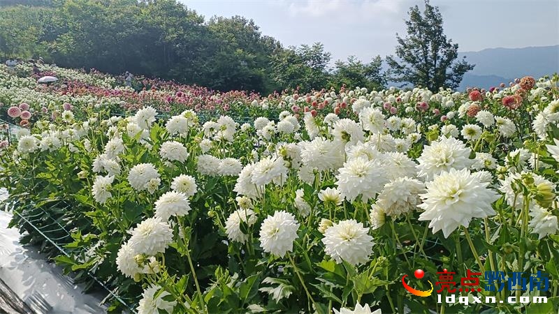 �d�x�а���G��¸G���������ķ�����