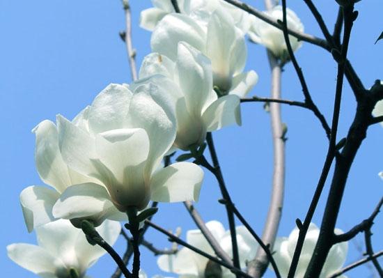 �d�x�����Ļ��@�İ����m���_��