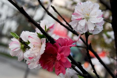 �d�x����|·һ��ѻ����_���t���׻� ���˷Q
