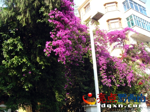 �����ã���Ո�޸ģ����D2����ǭ������ί��Ժ��`�ŵ�����÷&ldquo;Ļ��&rdquo;���������    �z��.JPG