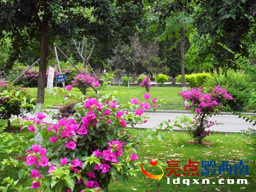 �����ã���Ո�޸ģ����D3����ǭ������������Ժ��ƺ��&ldquo;�c�Y&rdquo;��ŭ������÷���������    �z��.JPG