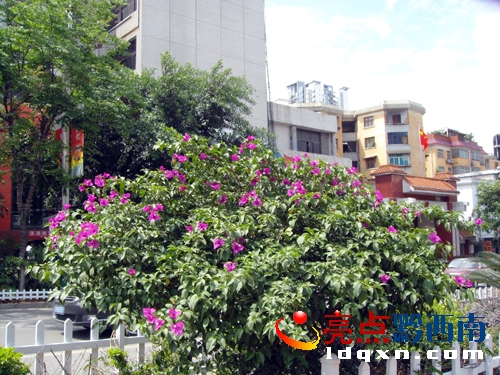 �����ã���Ո�޸ģ����D4�����d�x�����x·�G�����е�����÷���������    �z��.JPG