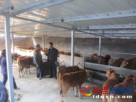 �D�龴�������ί��ӛ����Bֳ��ꐑ��_�������I��������ָ��.jpg