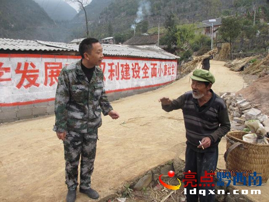 �D�龴�����Ԫ�c����L�c����ݷNֲ�r���M�Ѕf�̲ɷN.jpg