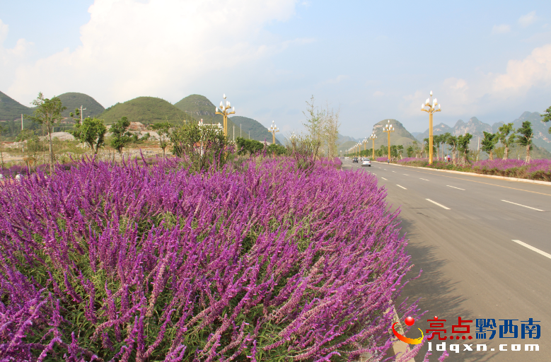 dh115·�ڻ���.png