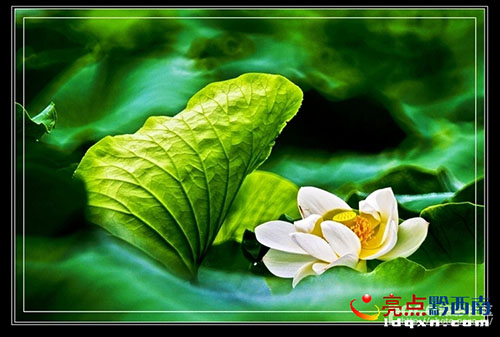 ���ݔzӰ�҅�������Ʒ