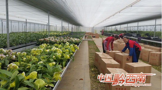 QQ�؈D20150124205441.png