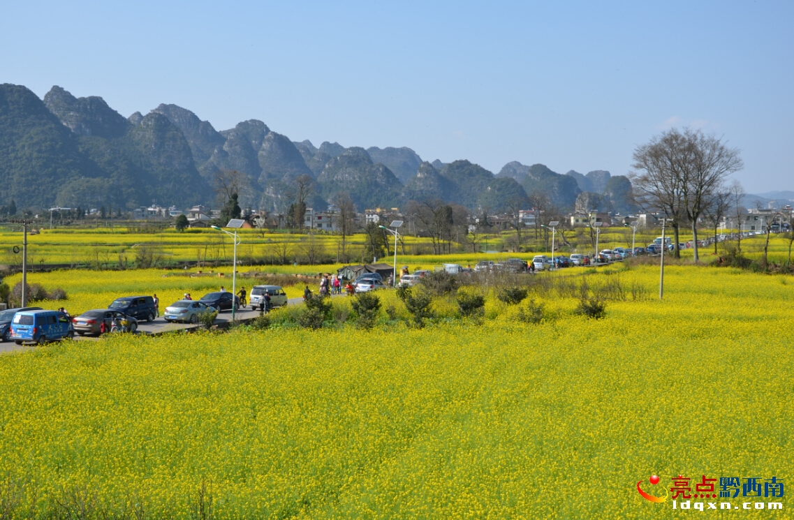QQ�؈D20150226115606.jpg