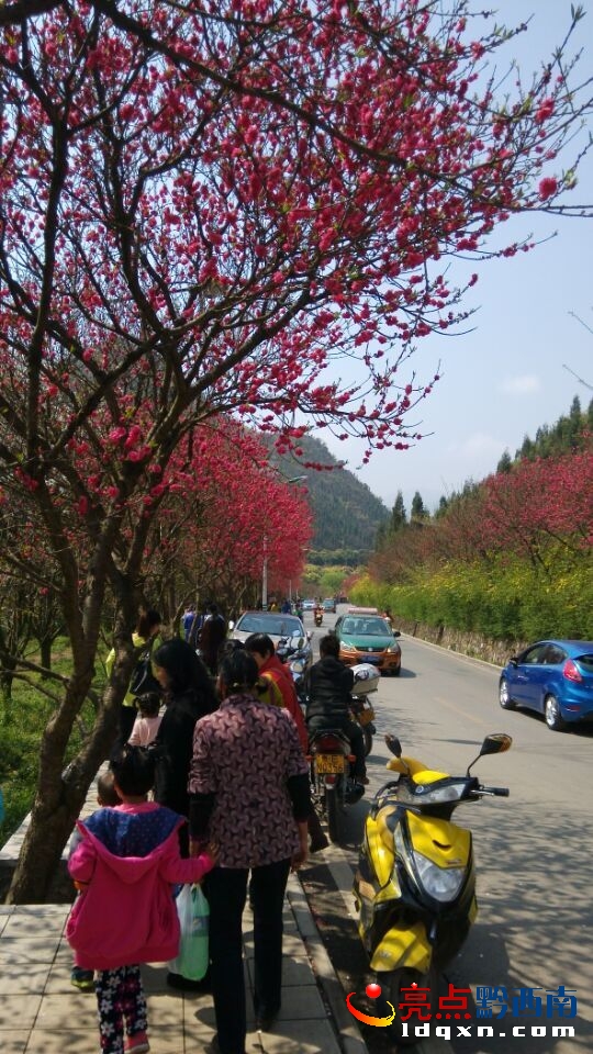 QQ�DƬ20150309132316.jpg