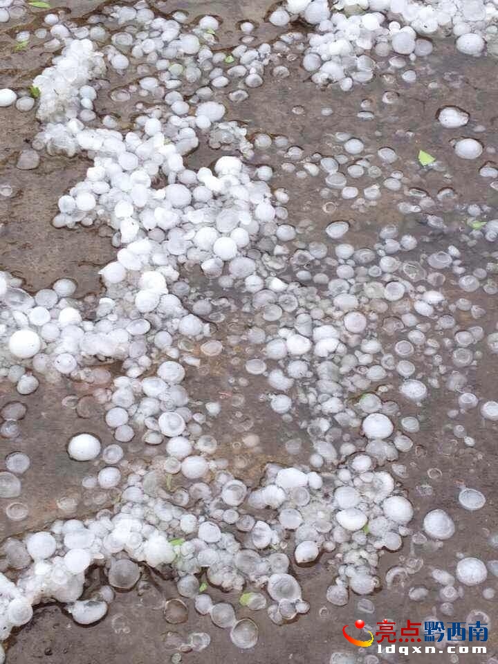圖為興義市七舍鎮俠家米村降雹情況1.jpg