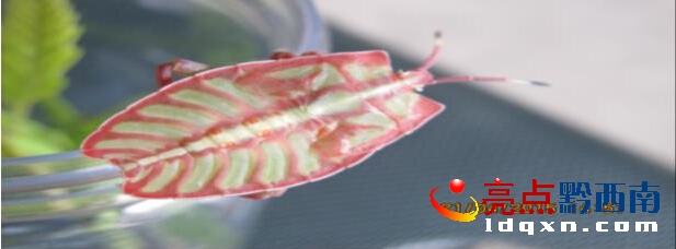 QQ�؈D20150423131339111.jpg