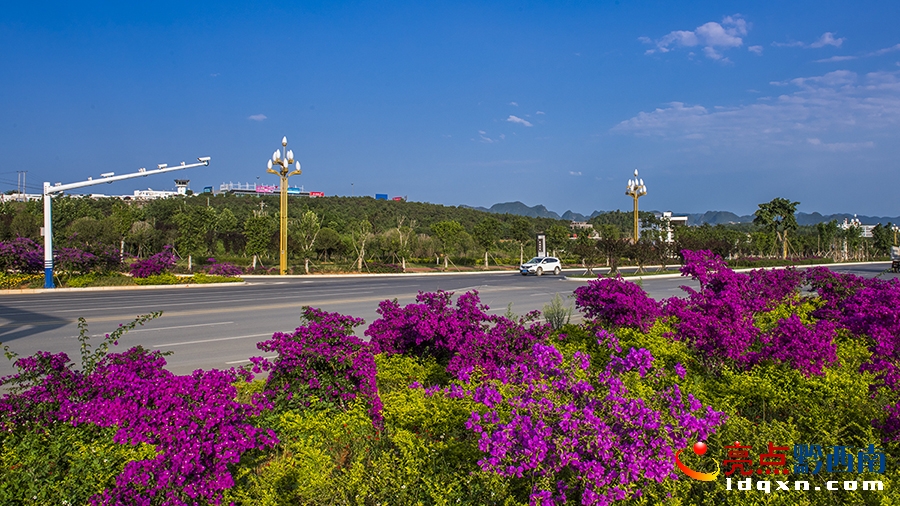 _DSC9970�d�x�������� ���� �z.jpg